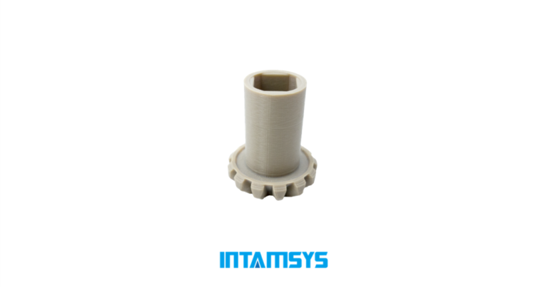 INTAMSYS 3D Printing Service